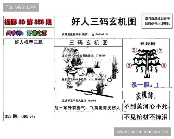 藏机开奖图揭秘:玄机暗藏的数字密码 藏机开奖图揭秘:玄机暗藏的数字密码